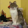 Отзыв от Алена Свешникова